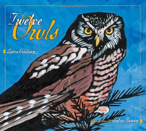 Twelve Owls