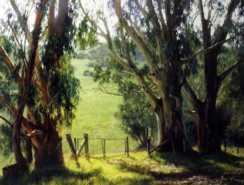 June Carey - Eucalyptus Light Hand Signed by June Carey