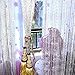 Door String Curtain Beaded Curtains for Closets Hanging Beaded Door Curtain Tassel Divider