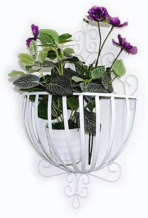 Amazon Co Jp Lht 錬鉄の花はグリーンディルハンギングラック花がバルコニーの装飾壁の花バスケットバスケット壁の花ポットハンギングスタンド 壁掛けスタンド フラワースタンド Color White ホーム キッチン