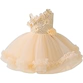 OBEEII Baby Girls 3D Flower Baptism Tutu Dress Toddler Photoshoot Prom Ball Gown Pageant Wedding Flower Girl Dress