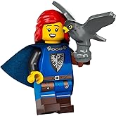 LEGO Collectable Minifigures Series 24 - Falconer with Stand and Accessories 71037