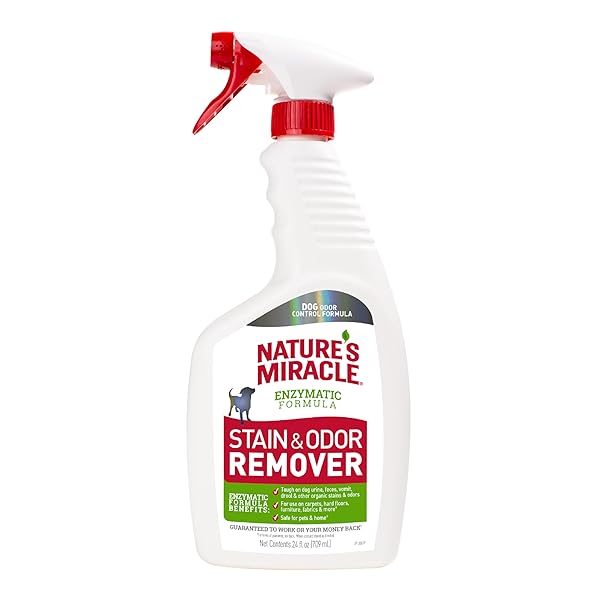 NATURE’S MIRACLE DOG STAIN AND ODOR REMOVER, EVERYDAY...