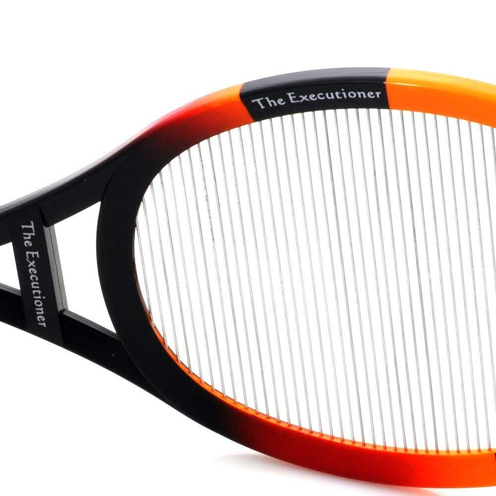 The Executioner Fly Swat Wasp Bug Mosquito Swatter Zapper Swatter Buy