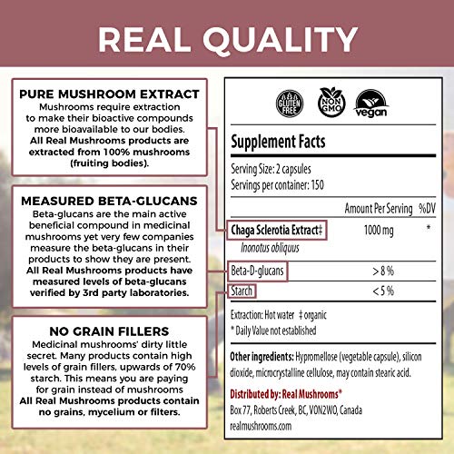 Real Mushrooms Chaga Mushroom Supplement (300ct) Chaga Mushroom