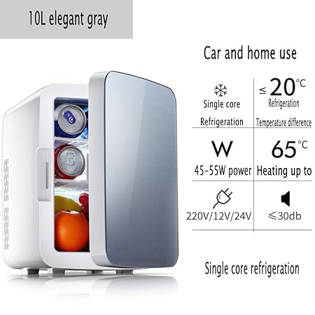 YIWANGO 10L Portátil Refrigerador Fría Caliente Doble Función ...