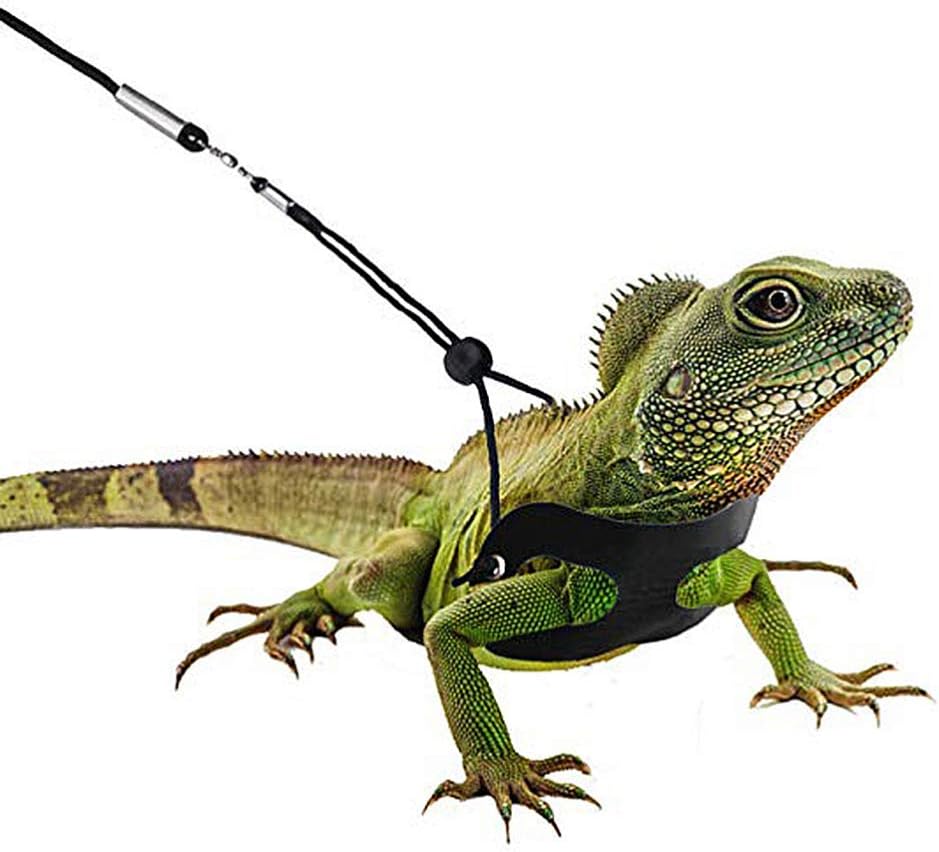 UKCOCO Lizard Harness Bearded Dragon Harness and Leash AdjustableTraction Rope
