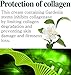 I Max Plant Stem Cell Cream of Gardenia Stems GXTM for Antiaging, Wrinkle Reducing and Lifting Sagged Skin