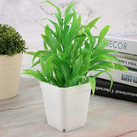 Amazon Xuuyuu 鉢 植木鉢 フラワーポット サボテン鉢 花鉢 育苗カップ 育苗ポット 栽培ポット 多肉植物 水耕栽培用 育苗用 種まき 容器 ガーデン 園芸 植物育成 野菜栽培 発育促進 家庭植物 多肉 花植物 ハーブ サボテン 適用 ホワイト 鉢