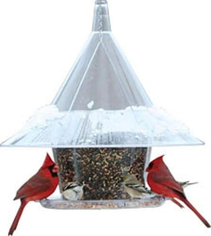 Amazon Com Arundale Products Ar360 011008 Mandarin Sky Cafe Bird
