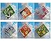 Dr Seuss Mini Notebook Ornaments Featuring 6 Random Dr Seuss Mini Notebook Ornaments