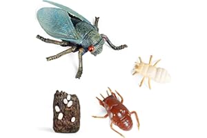 Momoplay Cicada Insects Animals Figurine Toys,Cicada Life Cycle Set Great for Learning, Cake Toppers, Goodie Bag Fillers