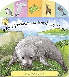 Bébé phoque au bord de l'eau