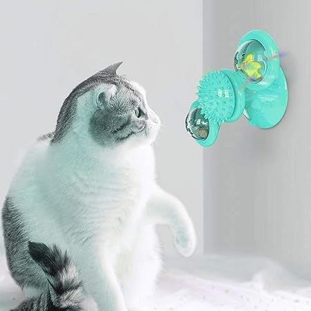new cat toys