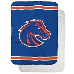 Boise State University BSU Broncos Primary Logo