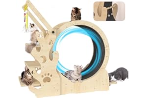 Beeneo Upgraded Cat Wheel, Cat Exercise Wheel for Indoor Cats, Cat Treadmill with Cat House, Cat Stand, Cat Tree, Cat Bowl, Carpet Run, Cat Amusing Stick, Cat Running Wheel for Kitty's Longer Life