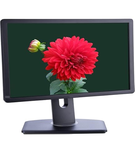 Amazon.com: HP W1907 19-inch Widescreen Flat Panel LCD