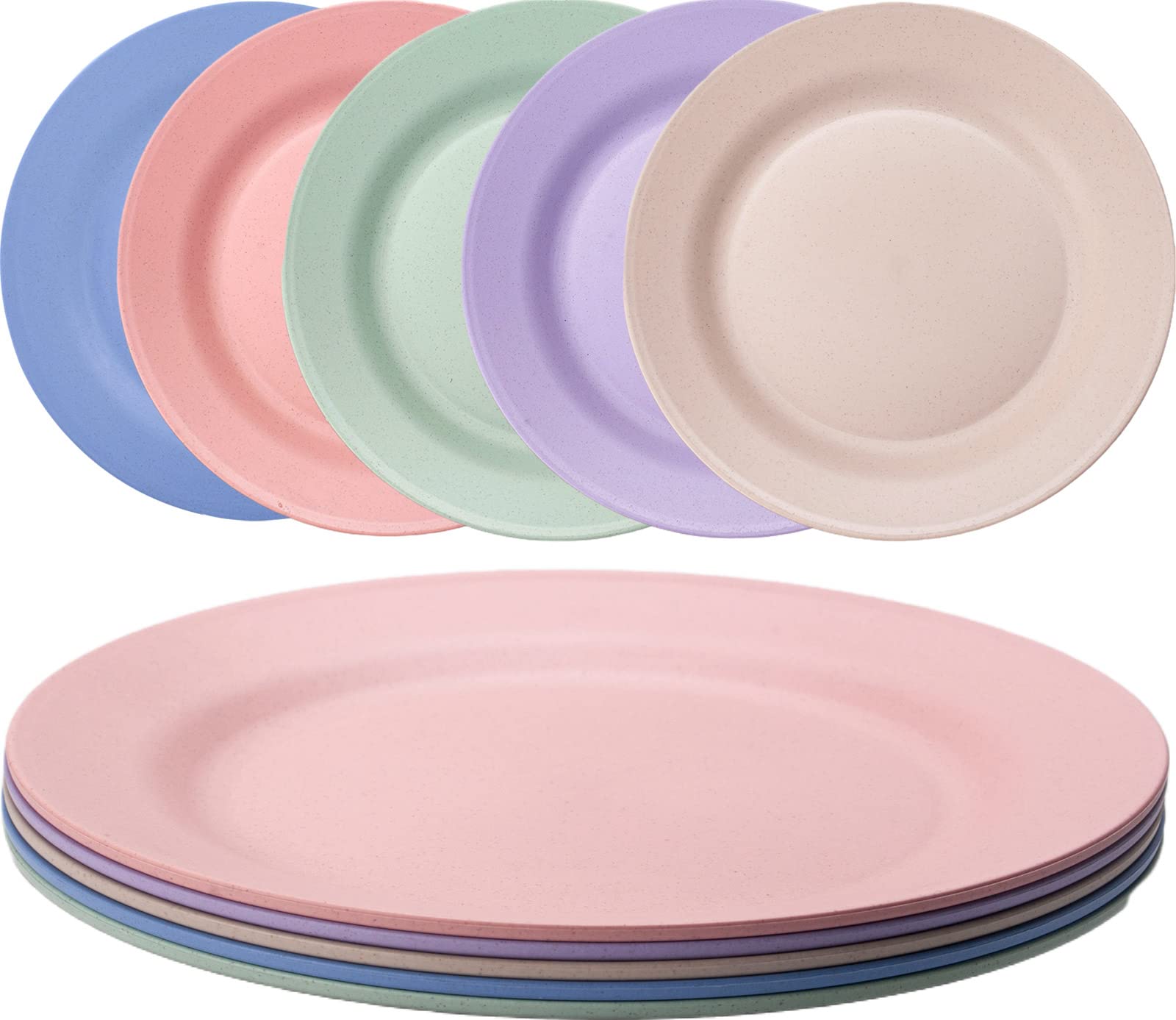 Orrdiffi 10'' Dinner Plates Set of 5 Reusable Plastic Plates Dishwasher & Microwave Safe,Lightweight & Unbreakable Camping Plate BPA Free and Healthy for Adult Kids(25cm)