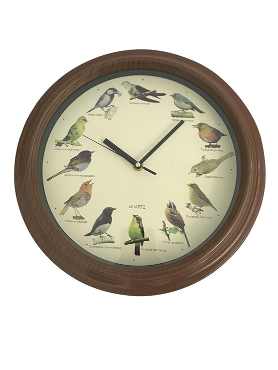 Out of the Blue Vogelstimmen-Wanduhr Øca.33 cm mit Kunststoffrahmen Vogelstimmen Lernuhr