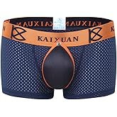 Nebesheii Men's Underwear Soft Breathable Boxer Briefs Fine mesh Button Front Design Underpants