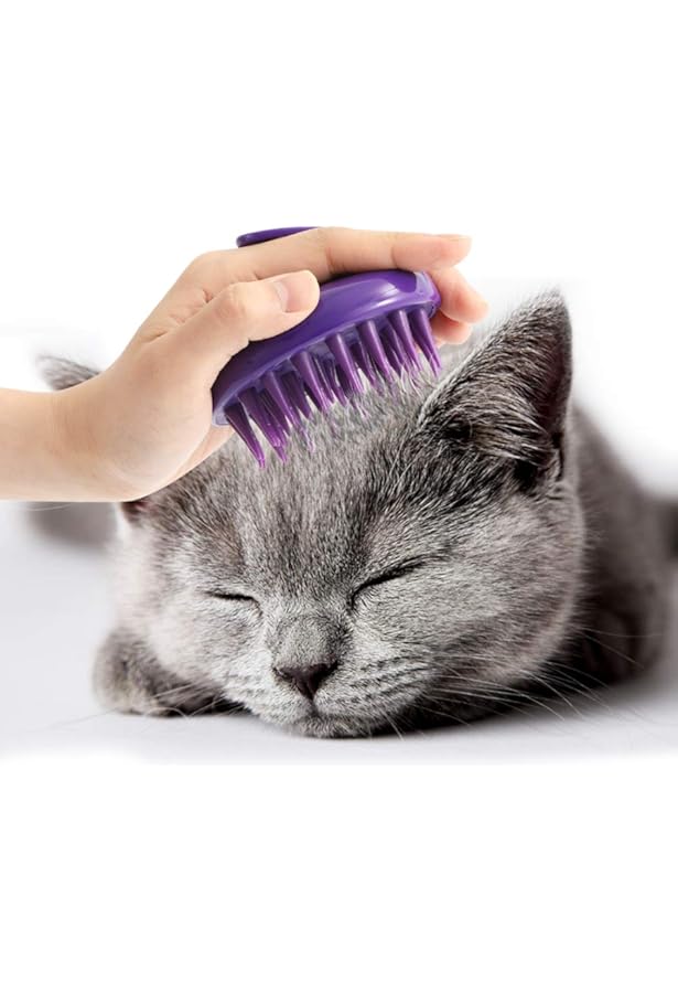Kong Zoom Groom Cat Brush atelieryuwa.ciao.jp
