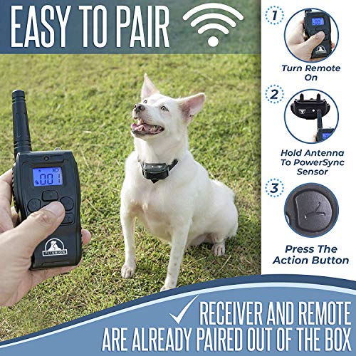 Pet Union PT0Z1 Premium Dog Training Shock Collar, Fully Waterproof