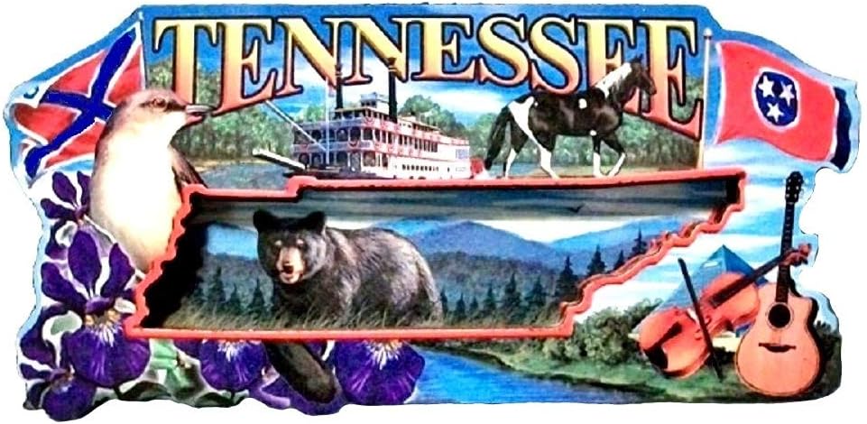 Tennessee Montage Artwood Fridge Magnet
