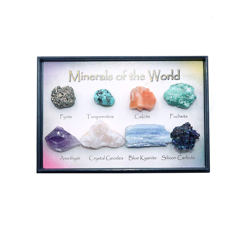 Namvo Set of 8pcs Natural Mixed Ores Natural Crystal Stones A for School Geological Education Home Decor Gift for Children