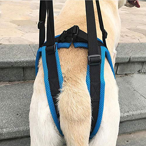 KOBWA Dog Lift Dog Mobility Lift Support Harness for for Hip Assist Stability Injured Disabled Arthritis ACL Joint Pain Elderly(L Size) - Thumbnail 3