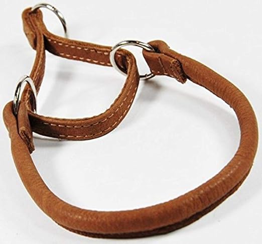 2 inch leather martingale collar