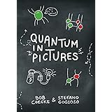 Quantum in Pictures: A New Way to Understand the Quantum World