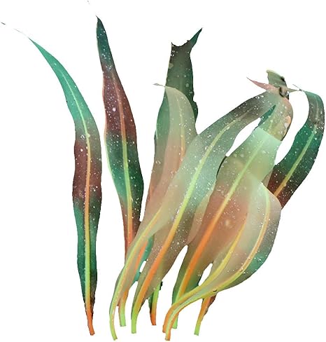 Amazon Co Jp Topfires 水槽 アクアリウム 癒し水景 芝生 水槽用 内装 インテリア 用品 プラント レイアウト 観賞魚 熱帯魚 飼育 構築植物 水景 水槽オーナメント用 水槽装飾 純正品 ホーム キッチン Amazon Co Jp Topfires 水槽 アクアリウム 癒し水景 芝生 水槽用 内装 インテリア 用品 プラント レイアウト 観賞魚 熱帯魚 飼育 構築植物 水景 水槽オーナメント用 水槽装飾 純正品 ホーム キッチン