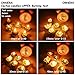 Ornerx Cactus Candles Tea Lights Set of 6