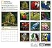 Parrots 2015