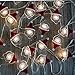 Battery Operated Christmas Lights Decorative String Lights LED 20 Santa Claus Novelty Fairy Lights Flexible Copper Wire Indoor Decoration Lights for Christmas,Holidays,Party (Santa Claus)