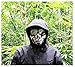 Coxeer Mesh Half Face Skull Mask Striker Steel Airsoft Mask Tactical Lower Face mask (Black) (Mesk Mask)