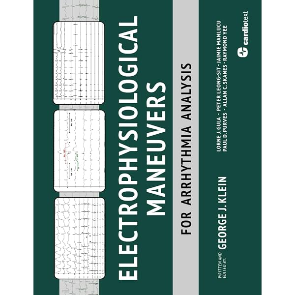 Strategies for ECG Arrhythmia Diagnosis: Breaking Down Complexity