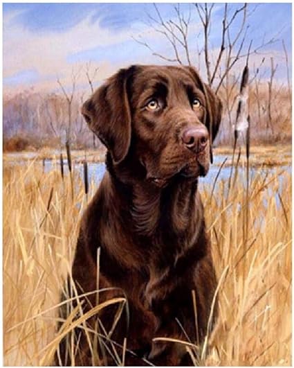 labrador jigsaw puzzle