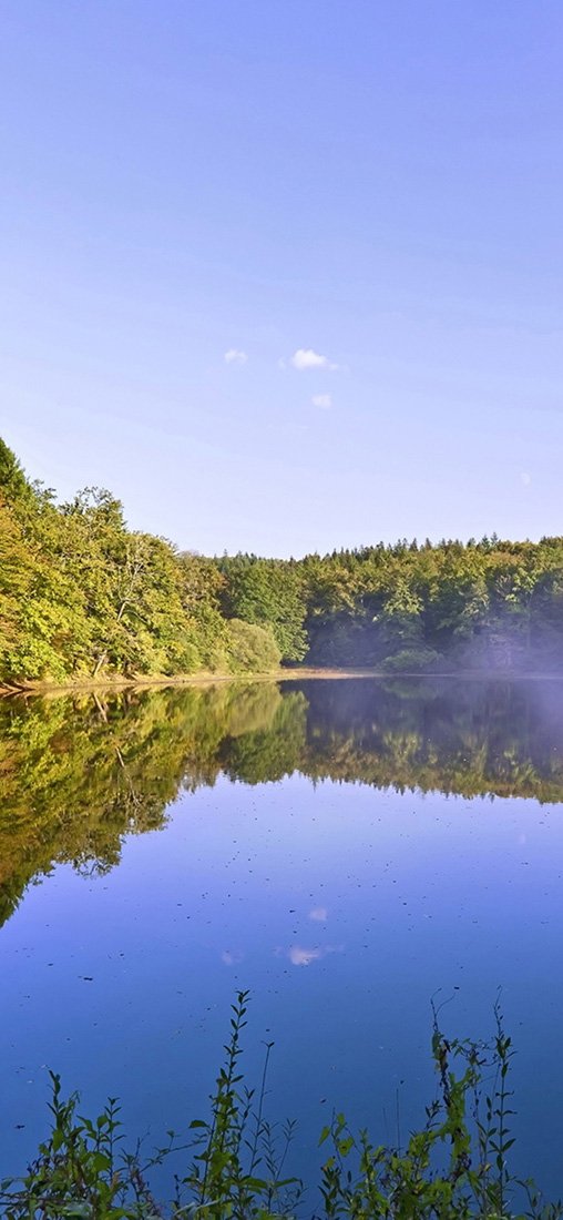 PeelitStickit, Beautiful Nature Wall Murals, ID-3139, vinyl