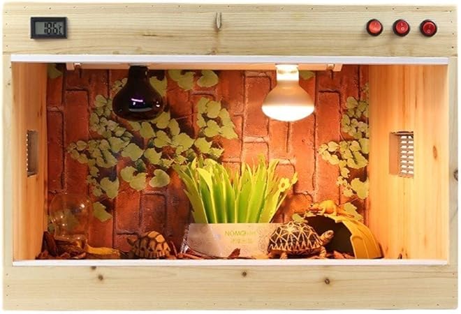 vivarium wood decor
