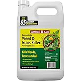 Compare-N-Save 75324 Herbicide, 1-gallon, white