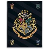Gamesland Harry Potter Fleece Blanket 100 x 140 cm