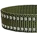 Blueberry Pet 3M Reflective Adjustable Classic Solid Color Dog Collar, 8 Colors, Matching Leash Available Separately