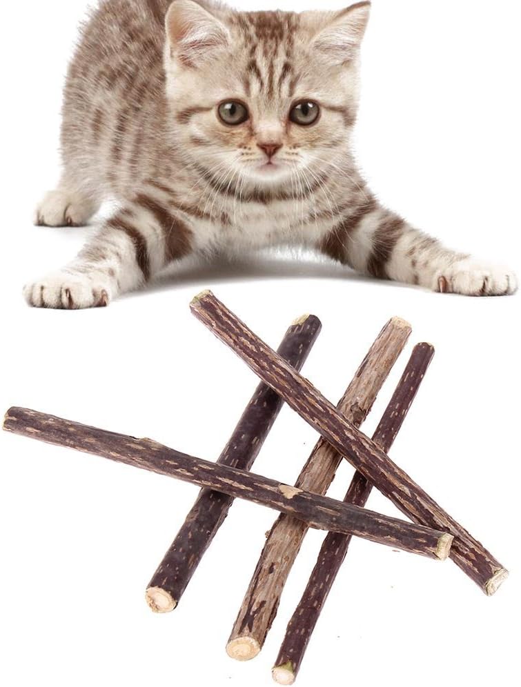cat dental chew sticks