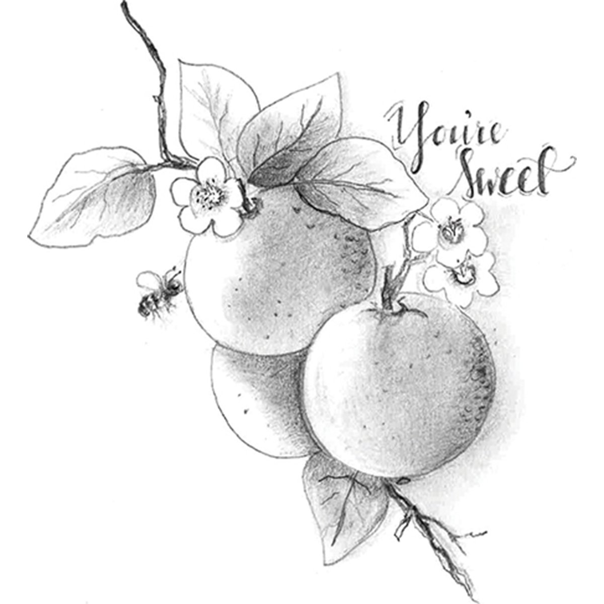 Spellbinders "You're Sweet Citrus" 3D Shading Stamp, Multi-Colour