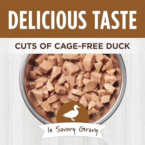 INSTINCT HEALTHY CRAVINGS NATURAL WET CAT FOOD TOPPER, GRAIN FREE RECIPE – REAL DUCK, 3 OZ. POUCHES (PACK OF 24)