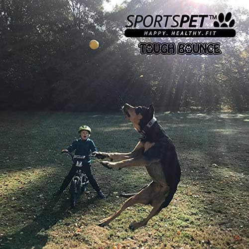SPORTSPET Tough Bounce Dog Balls, Rubber Dog Ball, Near Indestructible Fetch Toy for Dogs Tennis Ball Size (65mm) Pack of 3 - Image 5