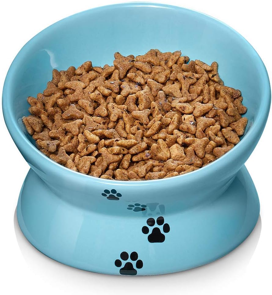 cats putting food in water bowl