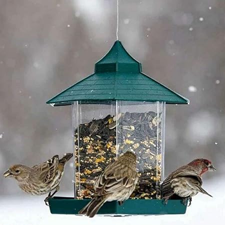 Amazon Com Finance Plan Garden Outdoors Hanging Bird Feeder