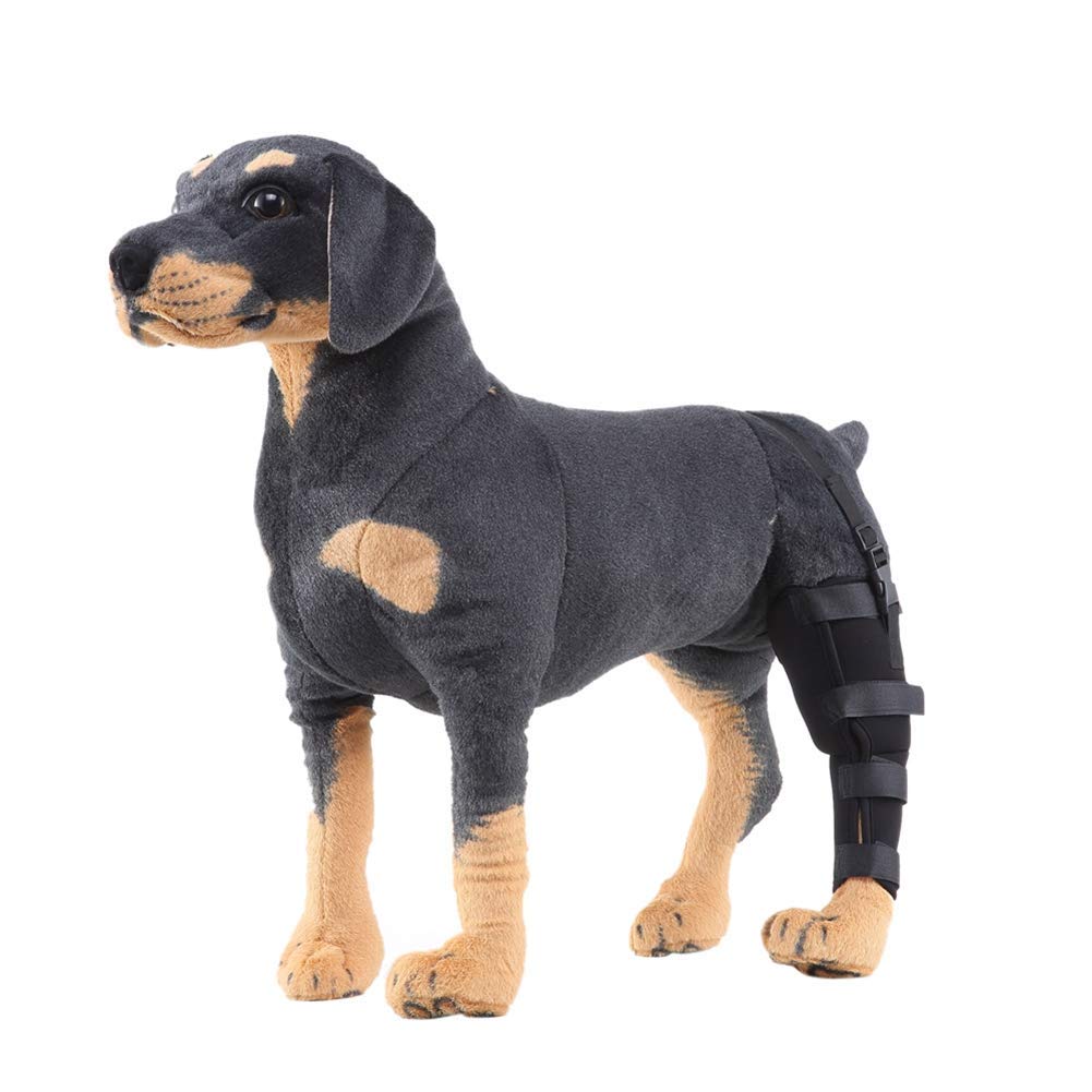 LXT PANDA Dog Rear Leg Hock Brace, Dog Canine Rear Leg Brace Hock Joint Wrap Protector, for Dogs with Arthritis in Joints, Strains or Sprains, Wound Healing.